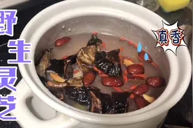 灵芝煲鸡注意几点就不会苦涩，不然起不到降三高提高免疫力作用。