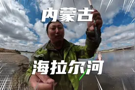 呼伦贝尔，天天喝，天天多……视频封面