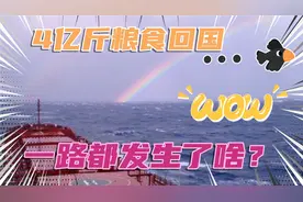 满载2亿斤大豆回国，航程2万公里，跨越欧亚非三个大陆，全程记录视频封面