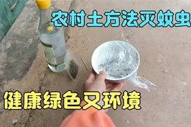 不用蚊香不用药，教你一个农村土方法，蚊子再也不敢进家门视频封面