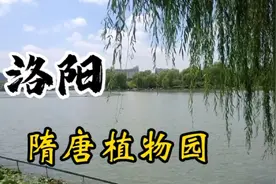洛阳人最常去的城市中心公园，摄影，绘画人的打卡之地！视频封面
