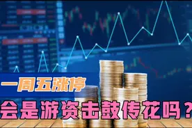 股票你买了吗？一周五涨停，湖南天雁是击鼓传花吗？视频封面