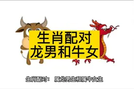生肖配对，属龙男和属牛女