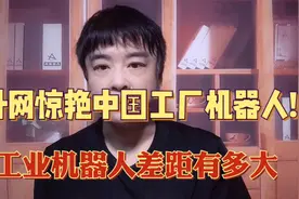 中国工厂生产线机器人酷炫操作震撼外网!印网友:看一整天都看不够视频封面