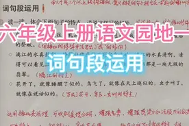 六年级上册语文园地一词句段运用视频封面