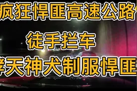 疯狂悍匪高速公路徒手拦车，哮天神犬绝命一咬，制服悍匪视频封面
