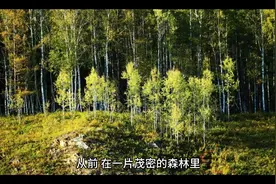 你善良吗？视频封面