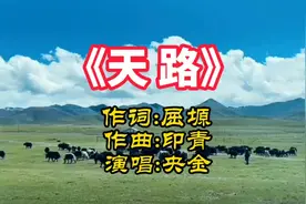 央金一位藏族歌手天籁般的嗓音令人窒息请欣赏她演唱的歌《天路》