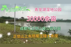 市区的人间仙境青龙湖湿地公园，百分之八十原生态导航游才不迷路视频封面