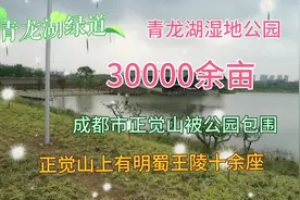 市区的人间仙境青龙湖湿地公园，百分之八十原生态导航游才不迷路视频封面
