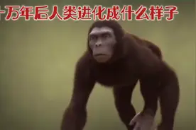 100000万年后人类进化成什么样子？人类已经进化成高等文明！视频封面