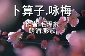 《卜算子.咏梅》毛主席的作品。待到山花烂漫时，她在丛中笑。视频封面