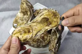 生蚝外壳难撬开，有个小机关，轻轻一划就能打开，这方法太棒了视频封面