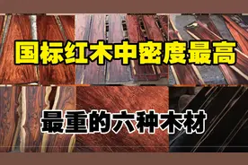 国标红木中密度最高，最重的6种木材，大红酸枝仅排第四！视频封面