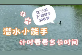 潜水时长？视频55秒后开始计时