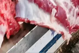 吃母猪肉有害吗？