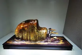 玩石头能强身健体，调养情志。视频封面