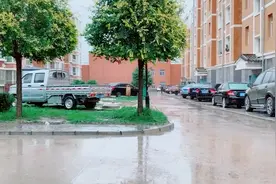 看看宁夏固原市的雪，不得了么，这如何是好？视频封面