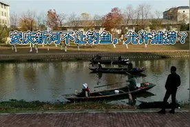 安庆新河不给垂钓，这是包给撒网？视频封面