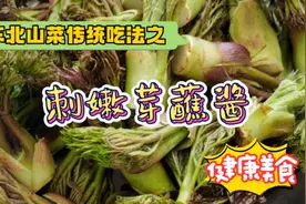 东北朝鲜族阿姨教做刺嫩芽传统吃法，简单有营养，快来试试吧！视频封面
