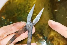 这才是给铁制品除锈的正确方法，不花一分钱，把盐倒在水里就行了视频封面