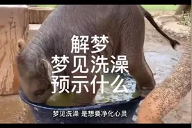 解梦，梦见洗澡预示什么视频封面