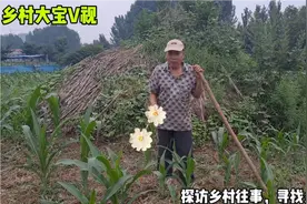 大爷年轻时被蛇追着咬，看见三条大蛇后，大病一场，这事你信吗视频封面