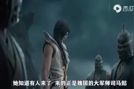 王者荣耀：澜和蔡文姬的故事。视频封面