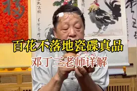 百花不落地粉彩碟子真品，首都博物馆副馆长邓丁三老师详解视频封面