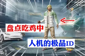 盘点吃鸡中 人机的极品ID！视频封面