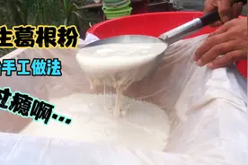 野生葛根粉 医用功效 高血压 低血压 体寒 胃寒调节 更是儿时零食视频封面