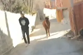 藏族人身体素质为什么那么好？先走进他们的村落，看看里面的环境视频封面