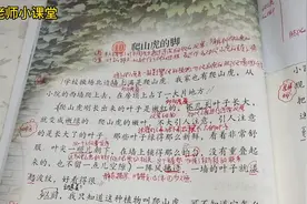 四年级语文上10课《爬山虎的脚》课文讲解视频封面