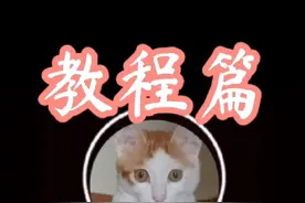 iPhone防触摸 教程篇视频封面