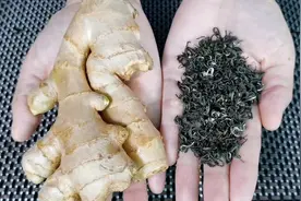 生姜和茶叶一起泡水喝，解决了男女朋友的大问题，真是厉害视频封面