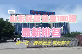 山东民营企业100强最新排名名单视频封面