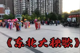东北传统民俗文化遗产 《东北大秧歌》精彩表演 沈阳大东广场视频封面