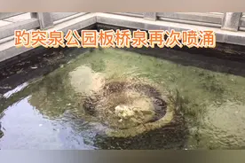 济南降雨地下水位持续上涨，趵突泉公园多年干枯的“板桥泉”喷涌视频封面