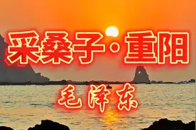 毛泽东诗词欣赏《采桑子·重阳》原文译文加作品赏析视频封面