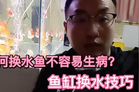 鱼缸怎么换水能让你的鱼不生病？#换水小技巧视频封面