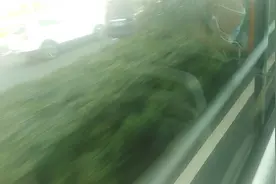 济南公交K4路视频封面
