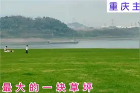 重庆主城最大的草坪，在长江边的小岛上，适合春游好去处，太美了视频封面