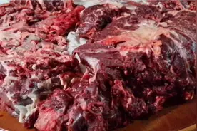 这新鲜的黄牛肉摆满一桌子，你分得清牛腩、牛腰等部位吗？视频封面