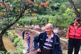 重庆一老人独居深山 垂钓土鲫鱼的人络绎不绝 家门口水果树遍地视频封面