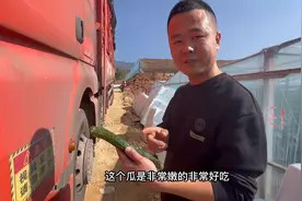 拉蔬菜类的绿通比较赶时间，云南到武汉1700公里，今晚又要熬夜了视频封面