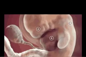 怀孕七天（一周）有什么症状？视频封面