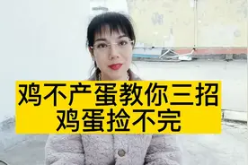 鸡不产蛋教你三招，鸡蛋捡不完视频封面