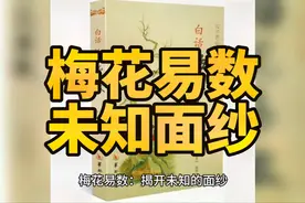 探秘 梅花易数是中国传统文化中的一项神秘技艺。视频封面