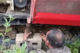 农机人不易，像这履带收割机收小麦路不平最容易掉履带，要留意视频封面