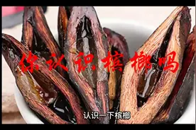 你认识槟榔吗视频封面